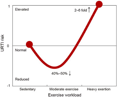 Exercise workload